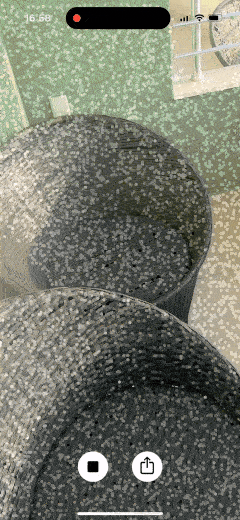 Point cloud visualization in AR
